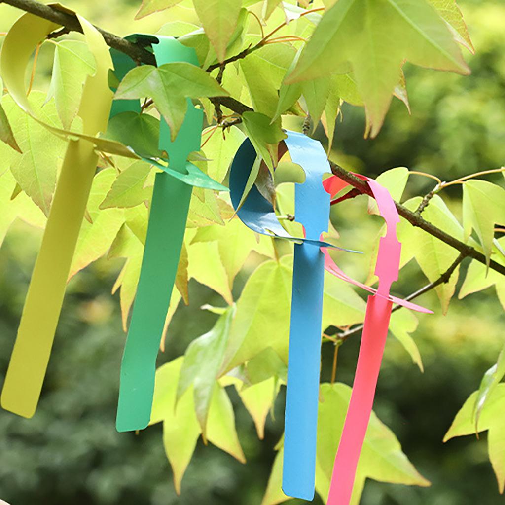 30 Pcs Gardening Garden Hang Tag Label Hanging Tree Seedling Plant Fruit Trees Signs Prompt Card Classification Tool