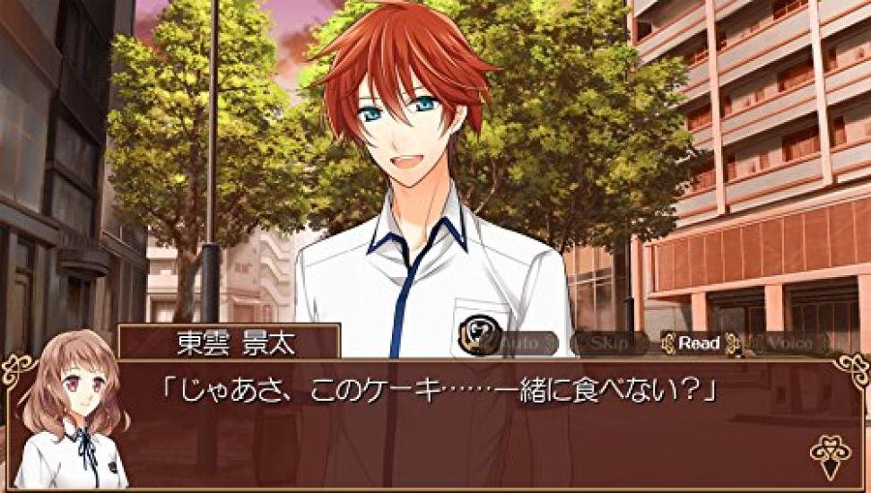 Кафе Cuillere [PSVita] ~Cafe Cuillere~