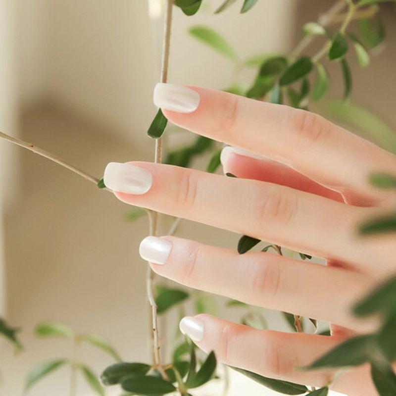 MUZMAK Reusable Nail Tip Seed Pearl (Regular Square)