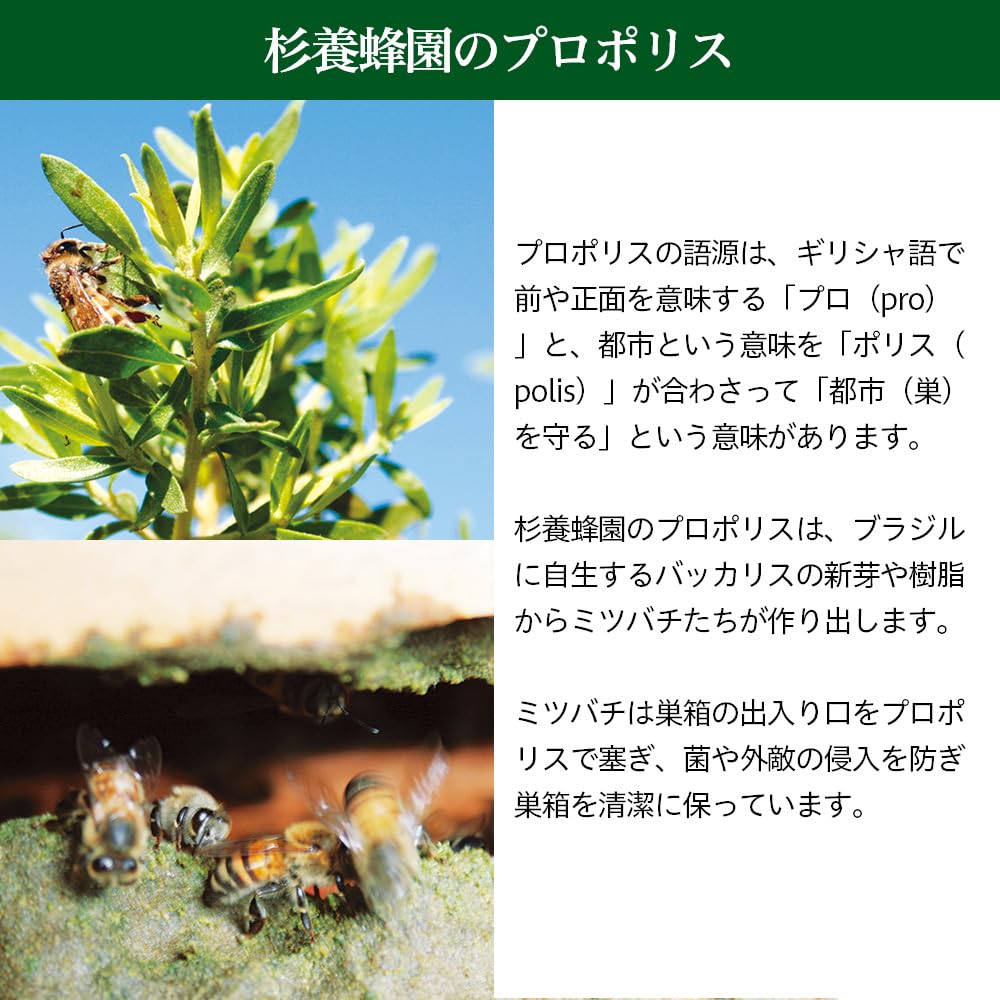 Sugi Bee Farm New Zealand Manuka Honey with Propolis Manuka 500g Bottle (Monofloral Honey)