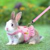 1 Set Pet Harness Leash Stylish Cute Cartoon Pattern Guinea Pig Rabbit Vest Harness Set for Outdoor Walking