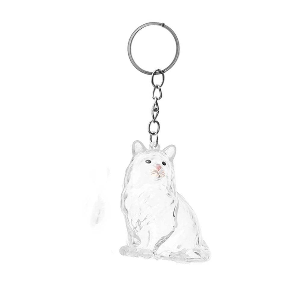 Transparent Acrylic Keychain Cat Hair Storage Capsule Handmade Hamster Hair Storage Pet Necklace