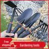 Gardening Tool Set: Small Iron Shovel, Rake, Dual-Use Hoe for Planting and Gathering
