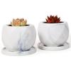 Umlaca Flower Ceramic Mini Flower Pot with Drain Cactus Ceramic Tray Pot Bottom Net No Plants Pot, Pot, Small, Hole, Pot, Stylish, Included, Included,