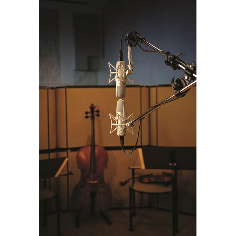 SHURE Конденсаторный микрофон для вокала KSM44ASL-X []