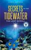 Книга Secrets In the Tidewater