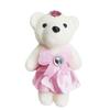 Day 10 PCS Doll Toy Decoration Hard Foam Cartoon Plush Doll Small Teddy Bear Kid Toys Bouquet Bear