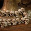20 шт. Мини-фигурка черепа, миниатюрная, из смолы, голова скелета, настольный декор на Хэллоуин, наполнитель для вазы, игрушка-розыгрыш, реквизит для дома с привидениями