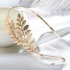 Retro Hair Combs Hair Jewelry Wedding Hair Crown Hair Hoop Leaves Hair Bands Bride Headbands
