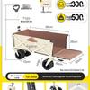 Explorer Foldable Outdoor Camping Wagon