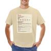 D&D Dad Stat Block T-shirt plus size tops tees summer top sweat shirts,