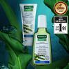 Seaweed Degreasing Shampoo 200mL & Scalp Pack 100mL