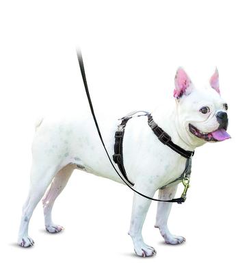 3-в-1 шлейка для собаки PetSafe, против натяжения, для поездок и дрессировки (Черный, Размер S)