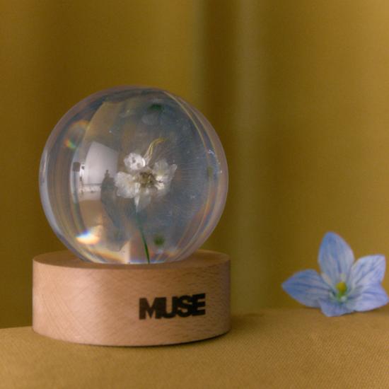 K-POP・アジア MUSE PAPER WEIGHT FACE CD BTS Плотность бумаги Jimin MUSE купить недорого — выгодные цены