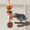 Веселая игрушка для попугая, Черный феникс, Птица пион, Разрушение, Скука, Грызение веревки, Грызение ореха, Сосновая шишка, Клетка для птиц, Декоративная подвеска