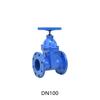 dn100 iron