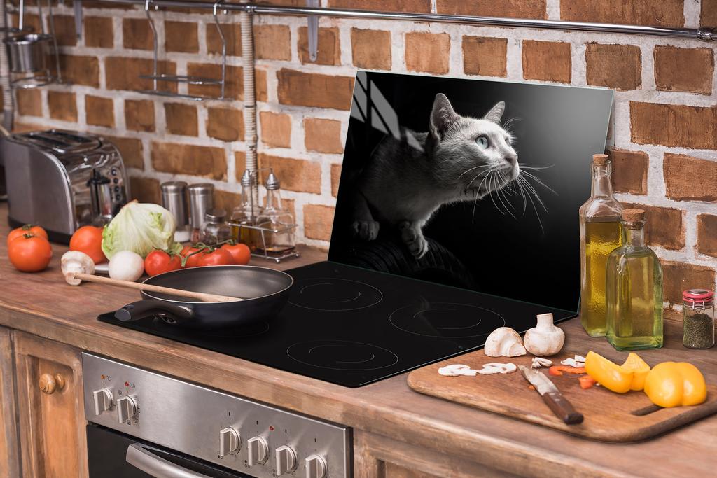 Glass protective plate for the stove 70x52 Cat