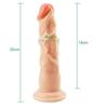 MoDi Dildo Realistic Penis Sex Toys for Woman Anal Massager Soft Dildo with Suction Cup