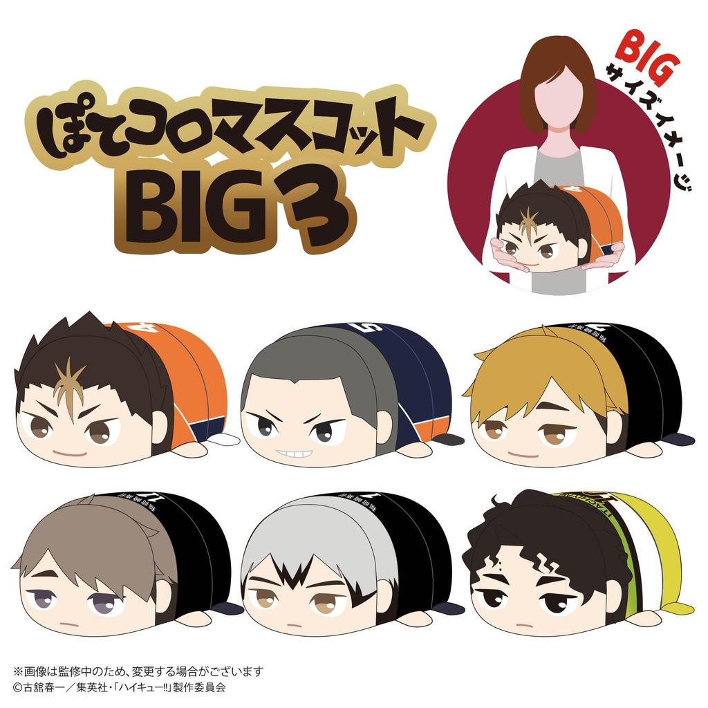 Haikyu!! Potekoro Mascot BIG3 E: Kita Shinsuke