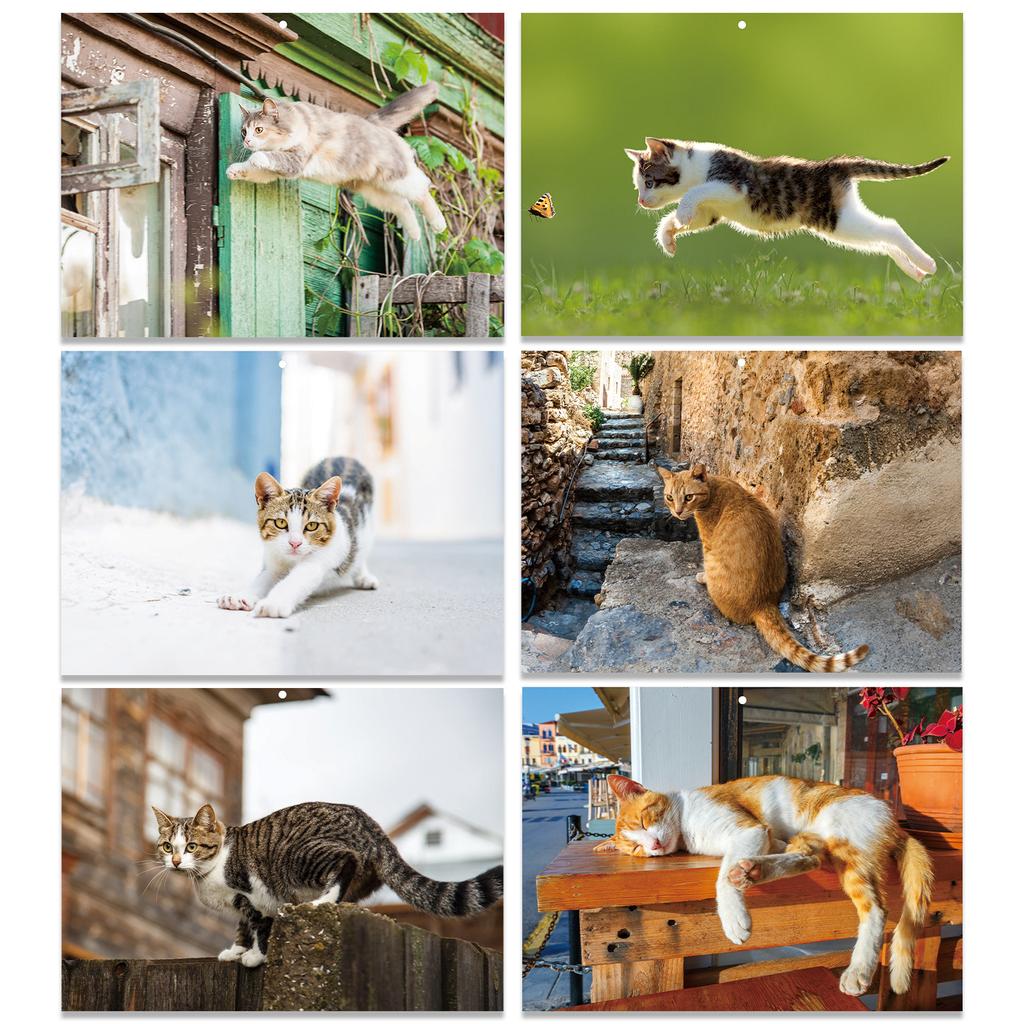 2026 Themed Wall Calendar English Monthly Calendar With 16 HD Photos