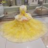 Luxury Lace Long Tail Princess Dress For Small Medium Dog Fashion Handade Pet Dog Clothes Puppy Dog Photography skirt