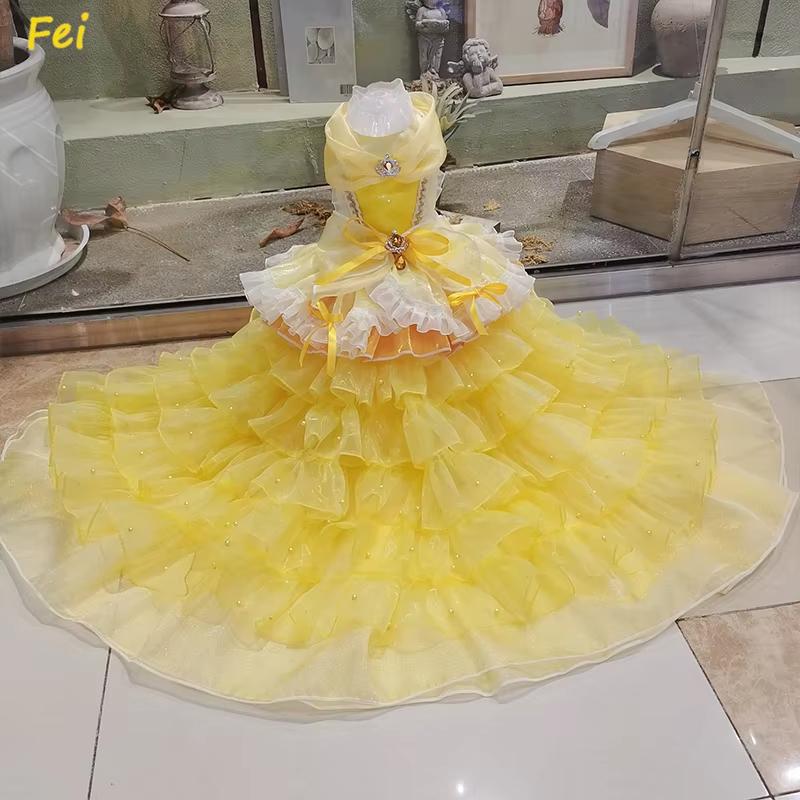 Luxury Lace Long Tail Princess Dress For Small Medium Dog Fashion Handade Pet Dog Clothes Puppy Dog Photography skirt