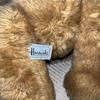 [USED] Harrods Teddy Bear / Large Size