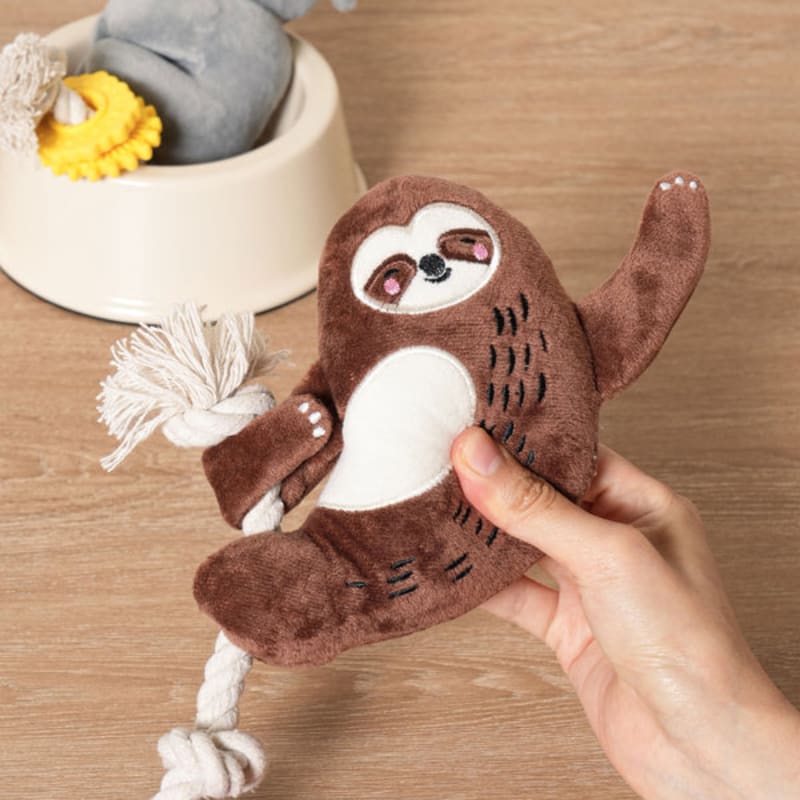 [Домашнее животное] Ленивец Ленивец