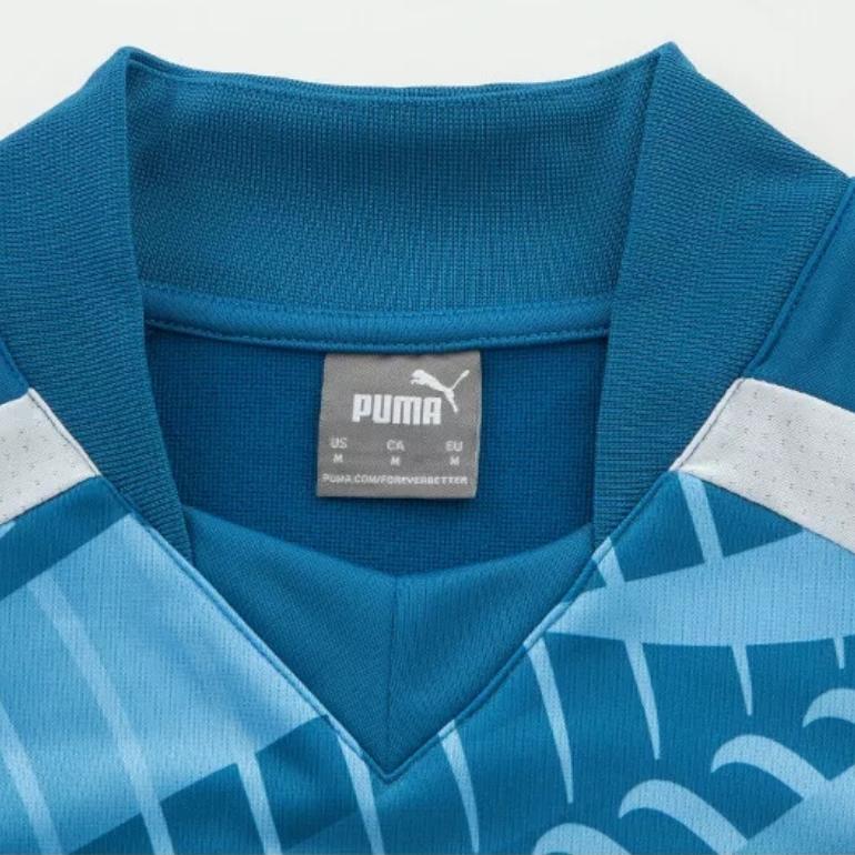 Puma Футболка мужская с длинным рукавом и полосатым принтом, воротник-стойка, синяя 772845-10