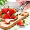 Stainless Steel Strawberry Huller, Seed Remover, Strawberry Stem Remover, Stalk Remover, Strawberry Huller, Seed Remover, Peeler, Labor-saving, Stainl