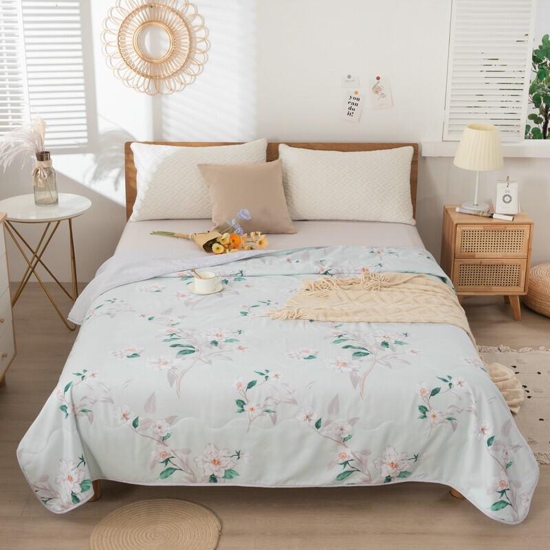 Duohuxi Washable Velvet Summer Quilt