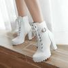 Shoes Women Motorcycle Boots Autumn Winter Ladies Boot  Stylish Lady Ankle Boots High Heel Platforms Sexy Botas Buckle White