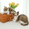 Simulated Cat Doll Creative Plush Toy Children'S Soothing Rag Doll Pet Cat Doll
