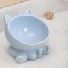 Ceramic Cat Feeder Bowl Dish Food and Water Raised Kitten for Dry Wet