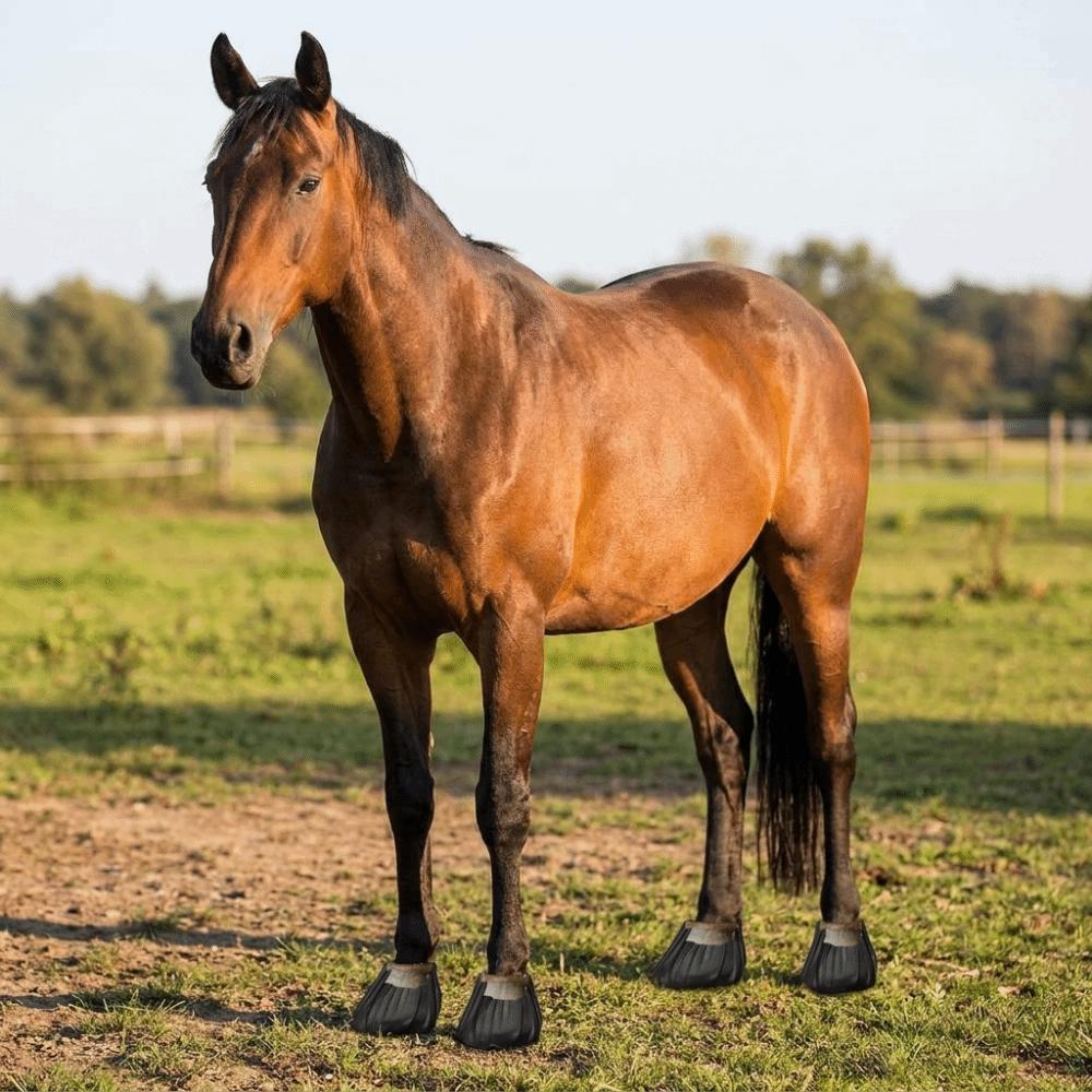 Non-Slip Hoof Protector Snug Fit Horse Foot Sticker Horse Hoof Care Patches Rehabilitation Use