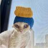 Cute Winter Warm Handmade Elastic Cat Hat Frog Hat for Party Photo Props Pet Cap