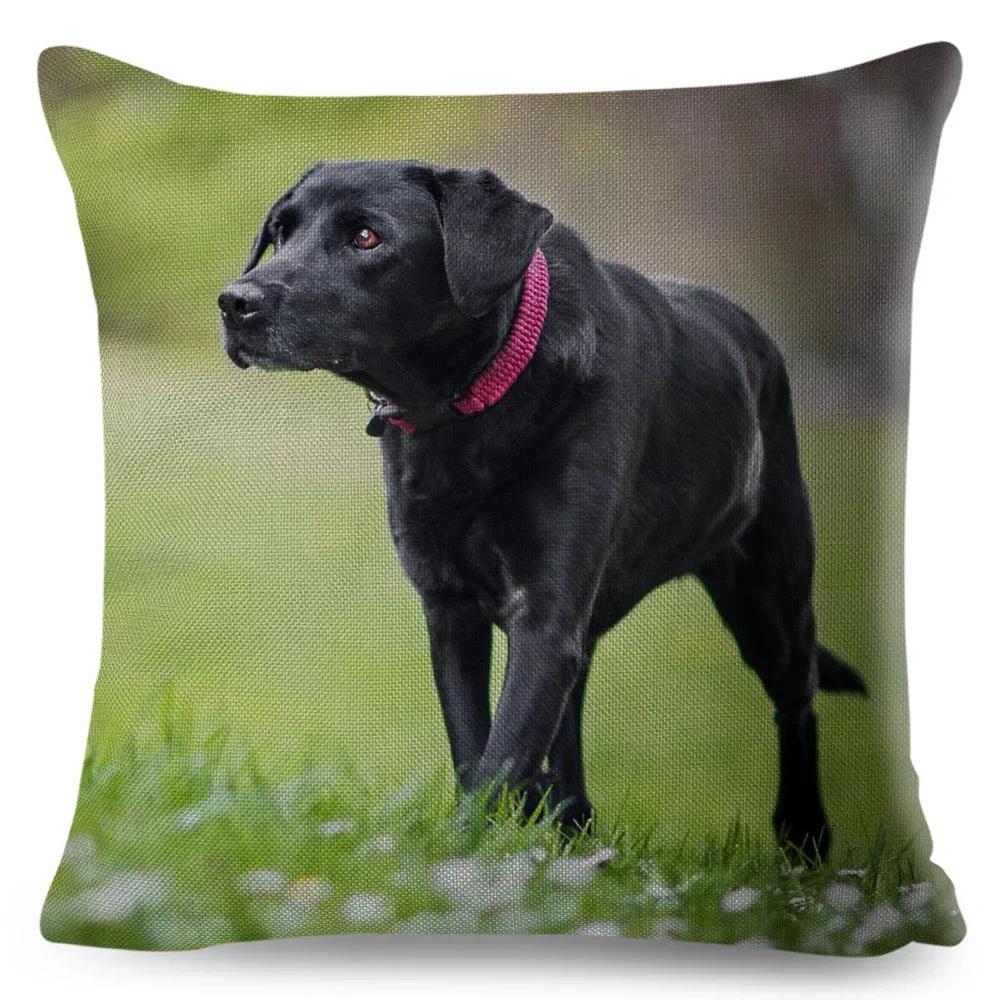 Cute Black Labrador Dog Double-Sided Printed Pillow Cover Short Plush Suitable Living Rooms Bedrooms Sofas Throw Cushion Cover