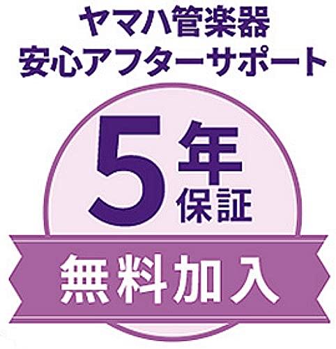 Гарантия и бесплатный сбор духовых инструментов YAMAHA Trumpet Gold [включено 5 лет] (YTR-2330, (грамм))