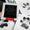 Pet Dog Cat Paw Print Ink Set Pad Baby Handprints Safe Non-toxic Wash Free Easy Clean Diy Handprints Footprints Pet Souvenirs