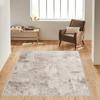 Washable Printed Carpet RVGHOME1643-HT948