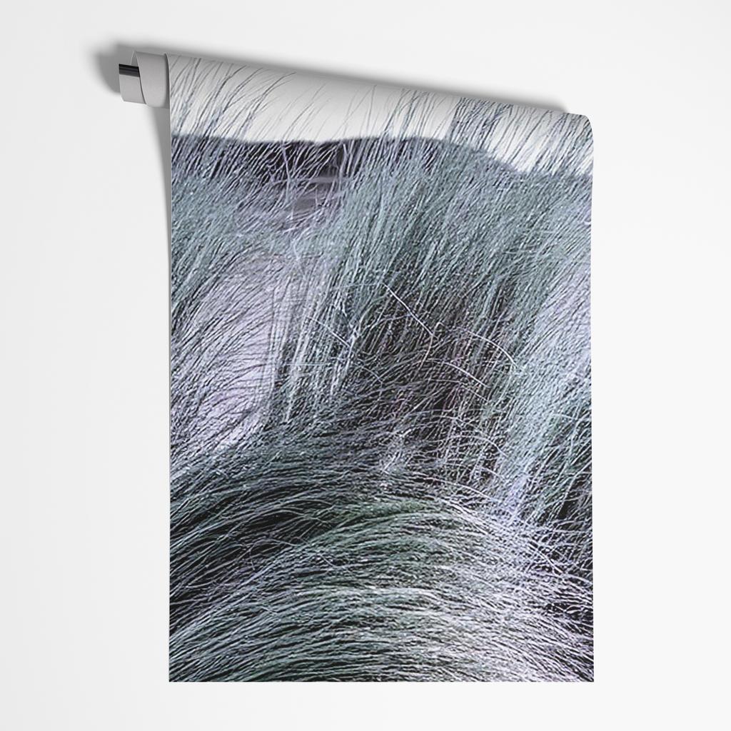 Wallpaper Window view Nature Botanical