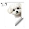 Easy to Apply Glass Stickers Cute Peeking Animal Static Window Clings, Cartoon Cat Dog Wall Stickers, Waterproof Reusable Film for Bathroom Removable