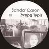 12-дюймовая пластинка SANDOR CARON Zwepg Typis 18DSRSCR1 Delsin 2001 Нидерланды Танцевальная Электроника Б/у