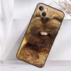 Animal Beaver Phone Case For iPhone 16 15 14 13 12 11 Pro Max Mini X XR XS Max 7 8 Plus Back Cover