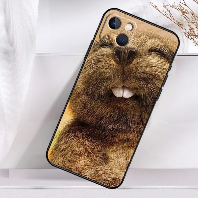 Animal Beaver Phone Case For iPhone 16 15 14 13 12 11 Pro Max Mini X XR XS Max 7 8 Plus Back Cover