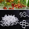 50/100Pcs Clear Hanging Plastic Vegetables Plant Vine Clips Clamp Gardening Tool
