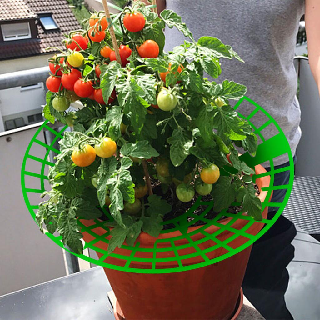 12 упаковок опор для растений клубники, подставка для растений клубники с 3 прочными ножками