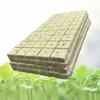 100pcs Rock Wool Seed Starters for Hydroponics Seedling Growth Promoting Efficient Plant Propagation and Cloning