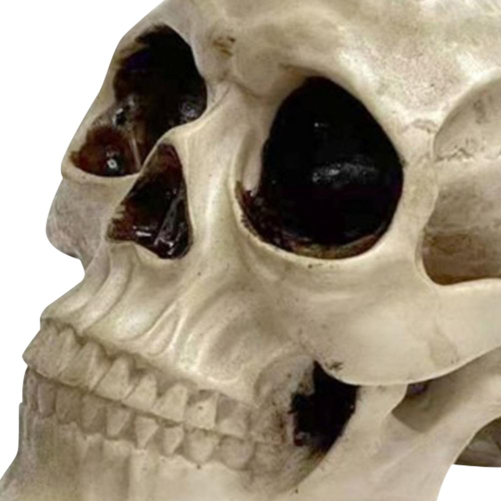 Skull Shaped Knife Block Personalized Skeleton Knife Rack Skull Knife Stand for Kitchen Cutlery Display Organizer