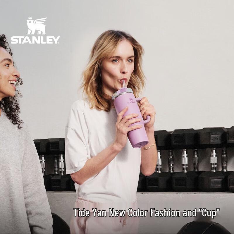 STANLEY The Quencher H2.0 FlowState Tumbler